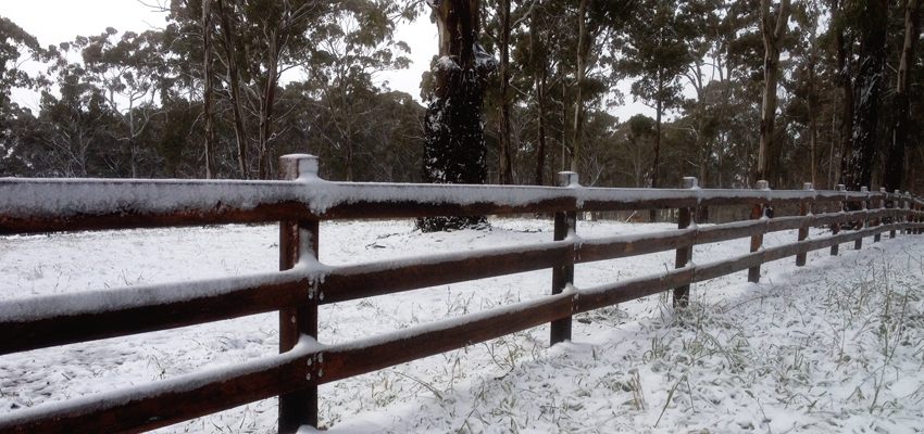 timberwoodnsw_indexslide_13 timberwoodnsw_indexslide_13