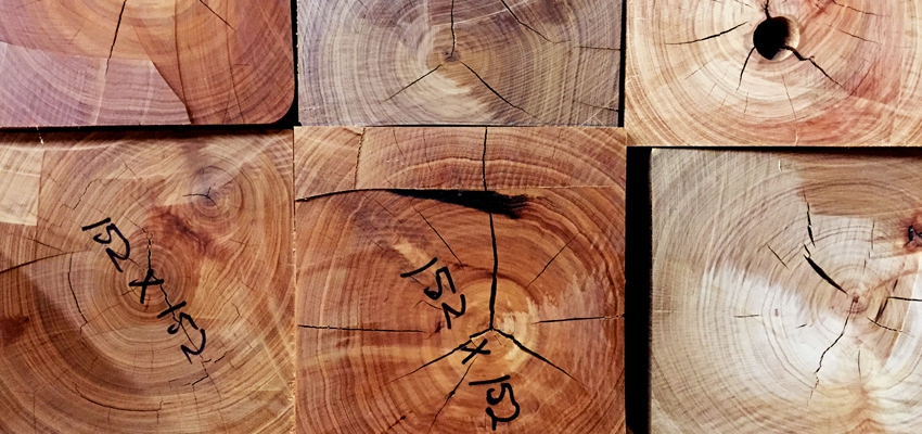 timberwoodnsw_indexslide_3 timberwoodnsw_indexslide_3